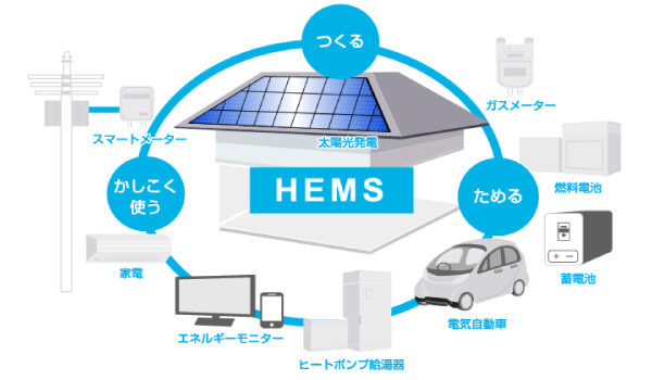 エコシステム画像